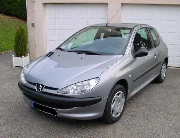 Peugeot 206 Exemple 2