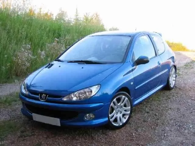 Peugeot 206 Exemple 2