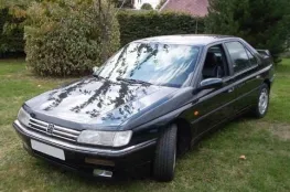 Peugeot 405 Exemple 3